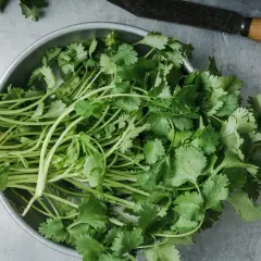 En skål med färsk koriander, redo att hackas eller förvaras. Ja, man kan frysa koriander för att behålla smaken.