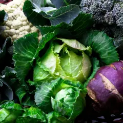 En korg fylld med olika kålsorter: grönkål, vitkål, blomkål, broccoli och kålrabbi.