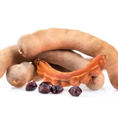 Tamarindfrukter och frön, redo för ett spännande tamarindpasta recept.