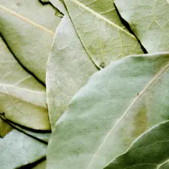 En närbild av torkade lagerblad, svenska kryddor som ger smak åt matlagning.