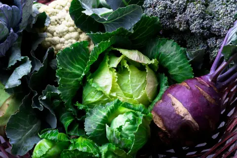 En korg fylld med olika kålsorter: grönkål, vitkål, blomkål, broccoli och kålrabbi.