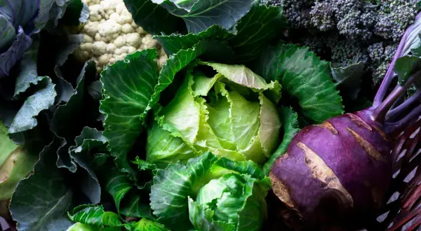 En korg fylld med olika kålsorter: grönkål, vitkål, blomkål, broccoli och kålrabbi.