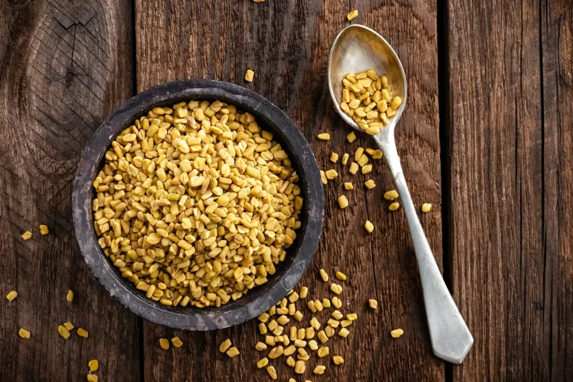 En skål med gyllene bockhornsklöverfrön (fenugreek seeds svenska) bredvid en sked full med samma frön, på en rustik träbakgrund.