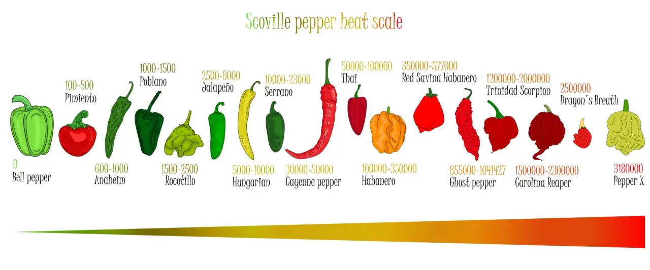 En illustration av Scoville-skalan f&ouml;r chili, fr&aring;n milda paprikor till extremt heta sorter som Carolina Reaper.